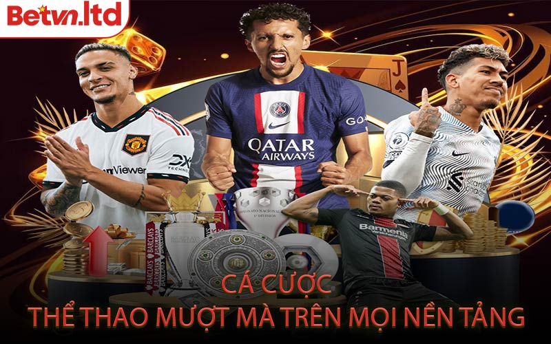 Cá Cược Thể Thao Mượt Mà Trên Mọi Nền Tảng