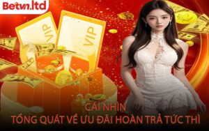 Cái Nhìn Tổng Quát Về Ưu Đãi Hoàn Trả Tức Thì