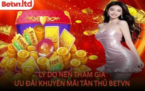 Lý Do Nên Tham Gia Ưu Đãi Khuyến Mãi Tân Thủ Betvn