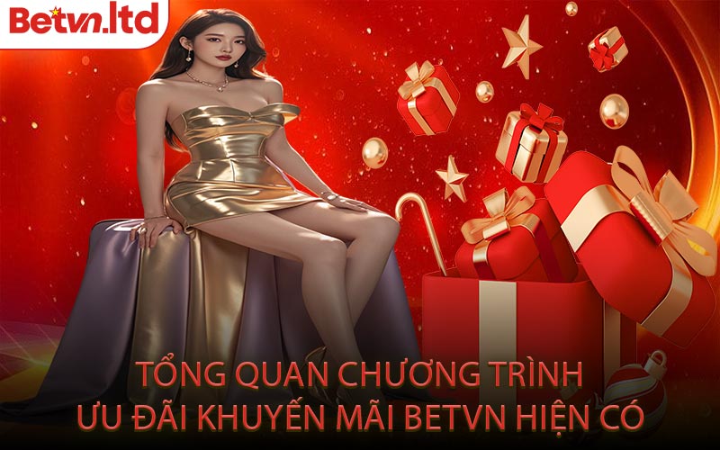 Tổng Quan Chương Trình Ưu Đãi Khuyến Mãi Betvn Hiện Có