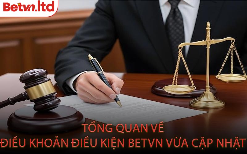 Tổng Quan Về Điều Khoản Điều Kiện Betvn Vừa Cập Nhật
