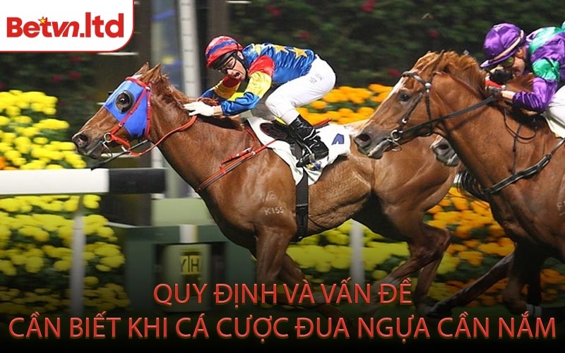Quy Định và Vấn Đề Cần Biết Khi Cá Cược Đua Ngựa Cần Nắm
