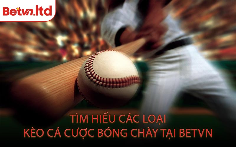 Tìm Hiểu Các Loại Kèo Cá Cược Bóng Chày Tại BETVN